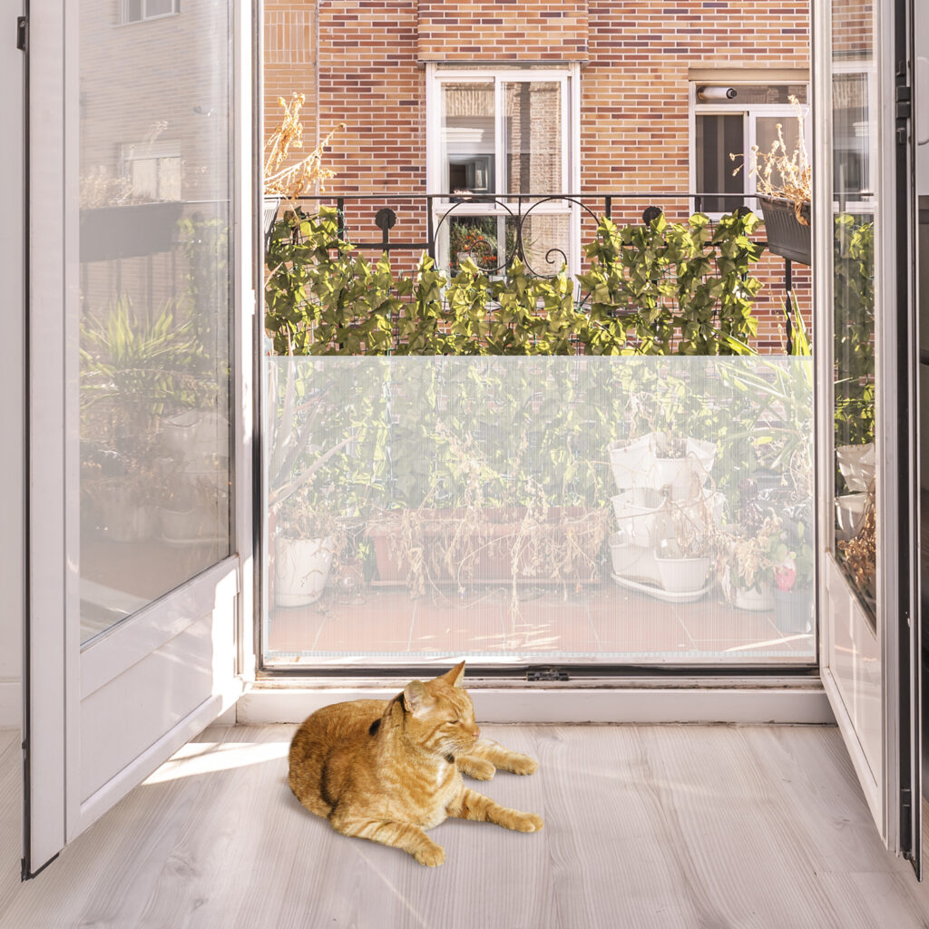 Daniel James Products