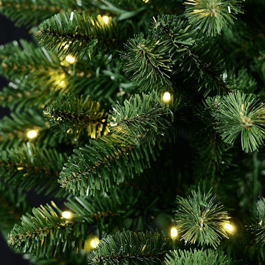 Daniel James Products