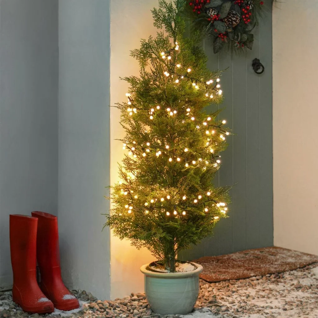 Daniel James Products