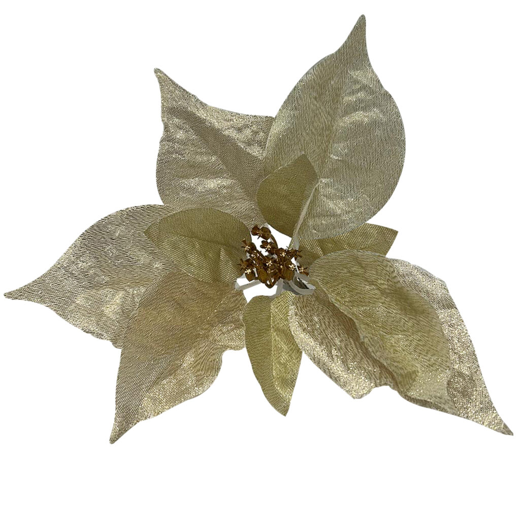 Daniel James Products