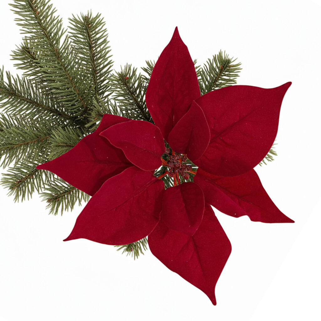 Daniel James Products